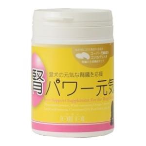 犬用 サプリメント 腎パワー元気  90ｇ 腎臓ケア 腎臓サポート