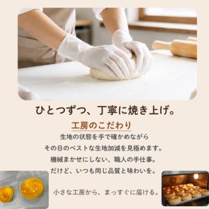 ベーグル 冷凍ベーグル お中元 夏ギフト 9個...の詳細画像3