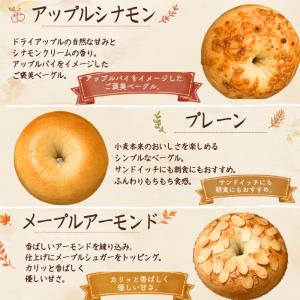 ベーグル 冷凍ベーグル お中元 夏ギフト 9個...の詳細画像5