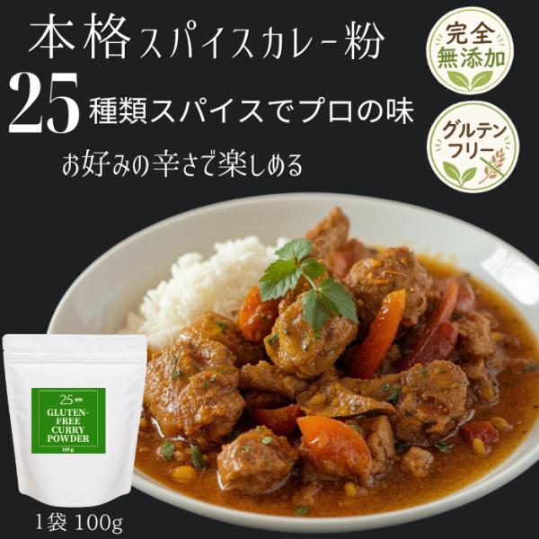 カレー粉 スパイスカレー無添加 グルテンフリー甘口 中辛 辛口 100g