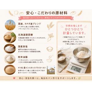 パンミックス ホームベーカリー対応 食パンミッ...の詳細画像1