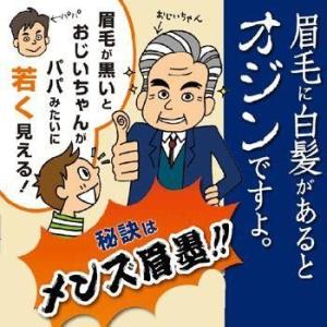 2個セット メンズ眉墨 眉毛 1日だけの白髪染め 白髪隠し 眉 メンズコスメ 男 白髪かくし マスカラ メンズ 眉 白髪 眉毛 口コミ Gran 294 R 美容と健康のミセルyahoo 店 通販 Yahoo ショッピング