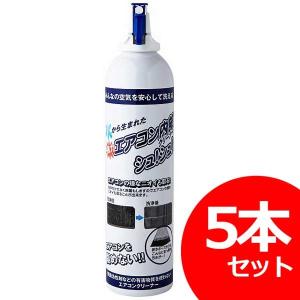 【販売停止】エアコン内部クリーナー シュシュ 5本セット エアコン 掃除 洗浄剤 スプレー 消臭 エアコン クリーナー