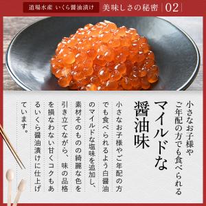 8/5限定クーポン10%OFF!丸鮮道場水産 ...の詳細画像5