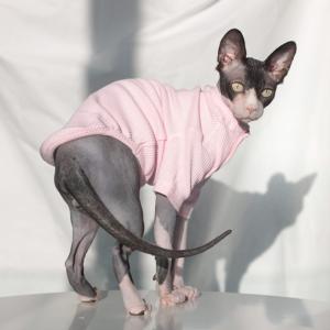 次世代主力スマートフォン Pixel 7 猫服 秋冬暖かい服猫犬スフィンクス子猫子猫コート 3個 販売人気 Moyengeneraux Ent Inphb Ci