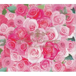 UNDER:COVER / T.M.Revolution 中古・レンタル落ちCD アルバム