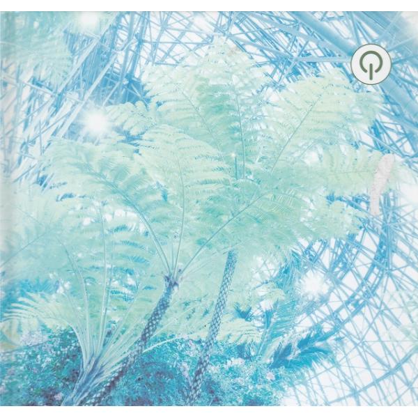 PROJECT GREEN Volume 1 "Forest City" / オムニバス 中古・レン...