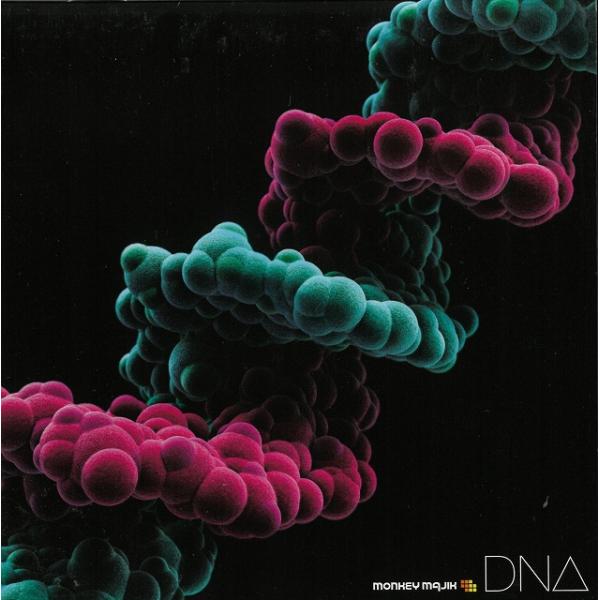DNA / MONKEY MAJIK 中古・レンタル落ちCD アルバム