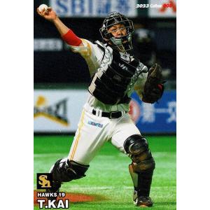 カルビー 2020プロ野球チップス第1弾 T-18 大島洋平(中日) タイトル