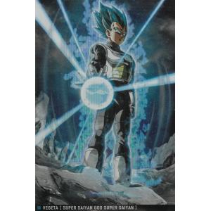 PSA10 ドラゴンボール イタジャガ カード 孫悟空 ビースト イタジャガ ドラゴンボール vol.2 2-02 孫悟飯ビースト SR