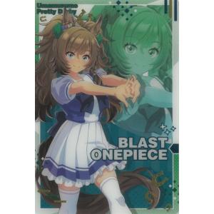 michikusa-store_t1-03115