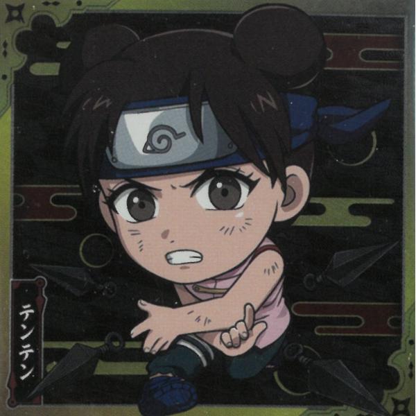 にふぉるめーしょん NARUTOナルト疾風伝 忍界シールウエハース vol.2 忍界2-09 テンテ...