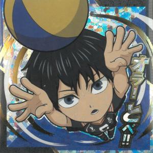 にふぉるめーしょん 劇場版ハイキュー!!ゴミ捨て場の決戦 vol.1 HQ1-29