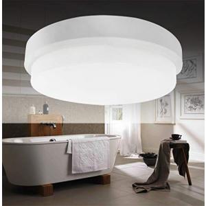 浴室 ZYJ LED ライト 防湿