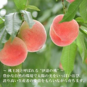 伊達の旬の桃 【2kg】5〜7玉 特秀品(贈答...の詳細画像2