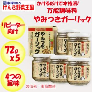 万能調味料 やみつきガーリック 72g x 5個 東海農産【静岡県静岡市 送料別】【HZ】｜michinoekihanazono