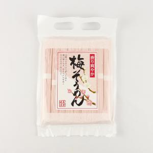 梅そうめん 450g 岩田屋【埼玉県秩父 送料別】【HZ】