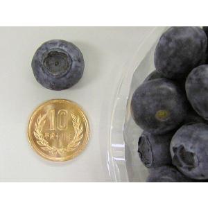 【送料無料】冷凍ブルーベリー1kg(Lサイズ)...の詳細画像2