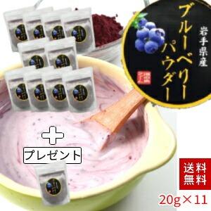 ブルーベリーパウダー20g×11袋／ペット、犬などのおやつにも！