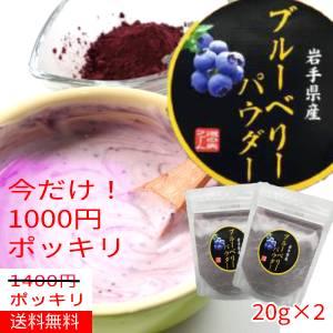 ブルーベリーパウダー20g×2袋／ペット、犬などのおやつにも！