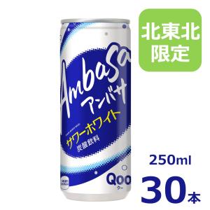 アンバサ 250ml缶/30本入り/コカ・コーラ/北東北限定