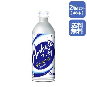 アンバサ サワーホワイト 490mlボトル缶/24本入り×2箱/2ケース/48本/北東北限定