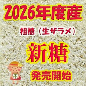 2026年度産 試食用 「粗糖」「500gが2...の詳細画像1
