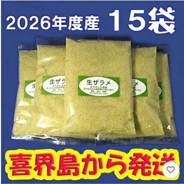 2026年度産　生（島）ザラメ（500gx15袋）　「喜界島の農家から発送（きび砂糖 キビ砂糖 キビ...