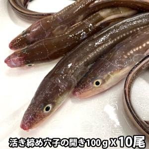 あなご開き 約100gX10尾 長崎産 生 白焼き 煮穴子 レシピ付き｜michinoya