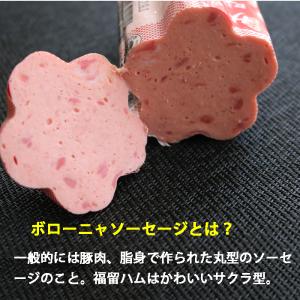 福留ハム サクラ咲く 花ソーセージ 255gX...の詳細画像2
