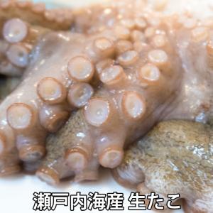 活き締め真たこ 約1.5kg 生 レシピ付き 瀬戸内海産 蛸 タコ 刺身 たこさし｜michinoya