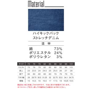 アイズフロンティア IZ FRONTIER ス...の詳細画像5