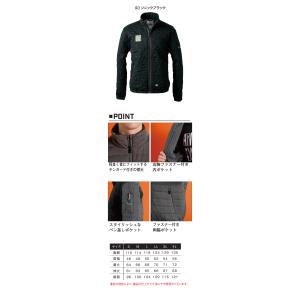 [10月末入荷先行予約]アイズフロンティア I...の詳細画像4