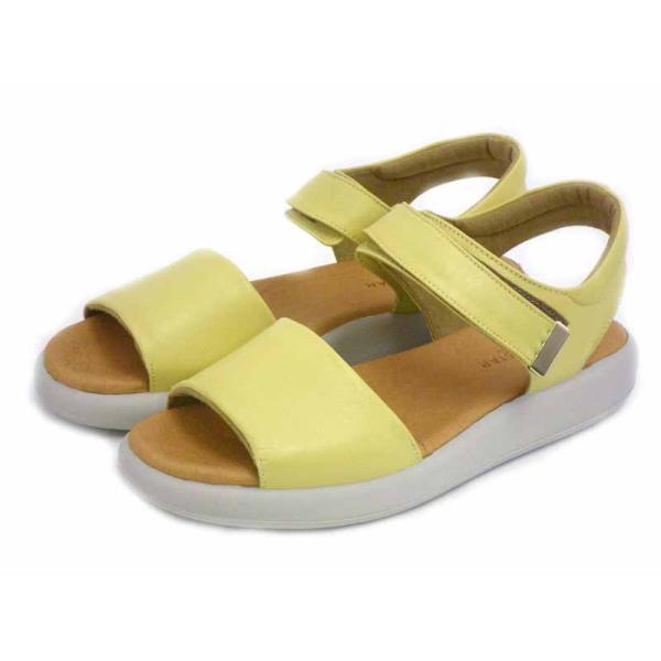 SPORTH スポルス P5901 YW