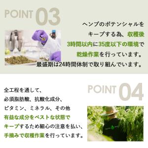 cbdオイル CBD オイル 6.6% 660...の詳細画像4