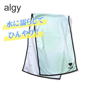 子供服 algy アルジー クールタオル ひんやり スポーツ 熱中症対策 メッシュ アイス キッズ 女の子 子ども ジュニア 小学生 中学生 2026夏 爆買