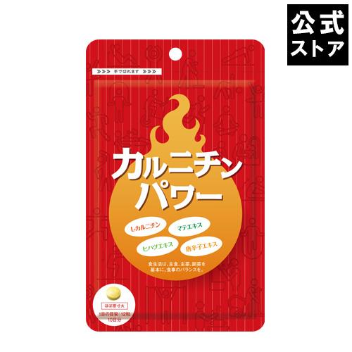 カルニチンパワー(120粒) ： L-カルニチン ダイエットサプリメント(AXFEY1-NAP001...