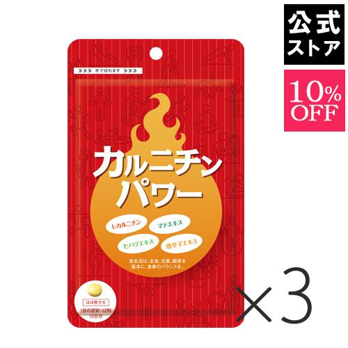 【10％OFF】カルニチンパワー（120粒）3袋セット  L-カルニチン カプサイシン ダイエットサ...