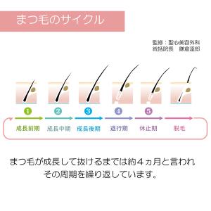 【公式】ドルチェラッシュ 簡単まつ毛美容液 (...の詳細画像2