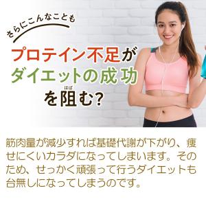 マイクロダイエット ドリンク ココア味 7食(...の詳細画像4