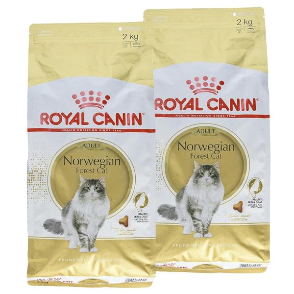 ロイヤルカナン FBN ノルウェージャン フォレスト キャット 成猫用 2kg ×2袋セット