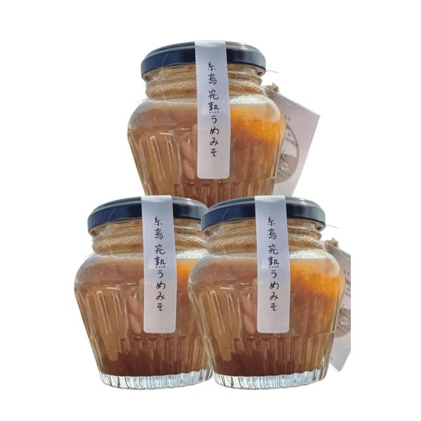 糸島完熟うめみそ (125g×3個) - 糸島げんき工房 | 無添加麦みそ 梅風味万能調味料 ご飯の...