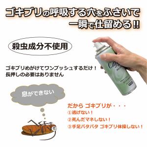 【キャファ 2本セット】ペットがいても安心して...の詳細画像2