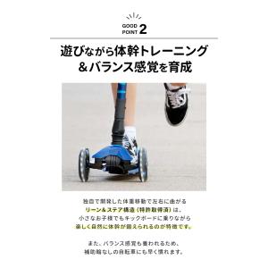 マキシ マイクロ 折りたたみ デラックス LE...の詳細画像5