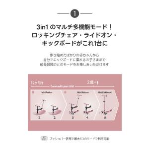 ミニ マイクロ デラックス ロック&ゴー LE...の詳細画像5