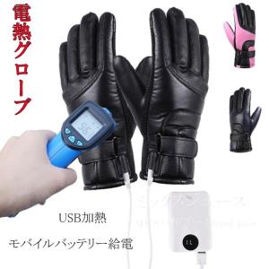 3ヶ月保証 電熱グローブ バイク usb 電熱式 ホットインナーグローブ