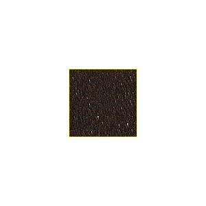 CPプロ04 シーナリーパウダー 茶 色 【津川洋行・103129】