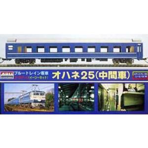 (未組立プラモデル)　客車 No.3 オハネ25    【マイクロエース・704035】