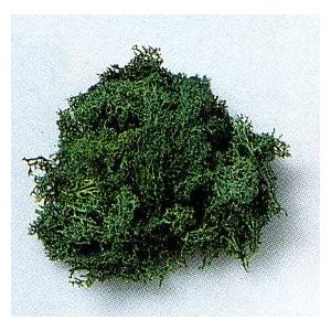 ライケン ブラウン・ミックス 【TOMIX・8124-】