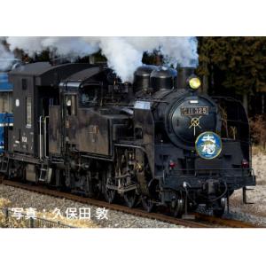 ※新製品 11月発売※ 東武鉄道 C11形蒸気機関車(325号機) 【TOMIX・8618T】｜mid-9